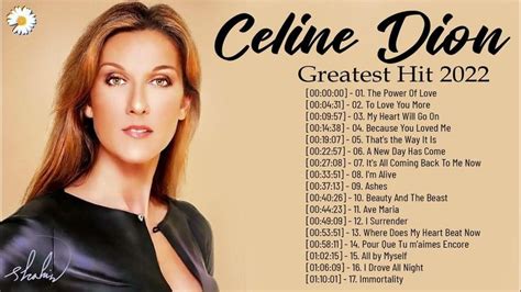 celine dion best performance|Celine Dion shows 2022.